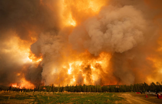 How To Protect Yourself From Quebec Forest Fire