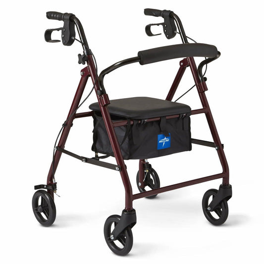 Basic Aluminum Rollator in Downtown Toronto