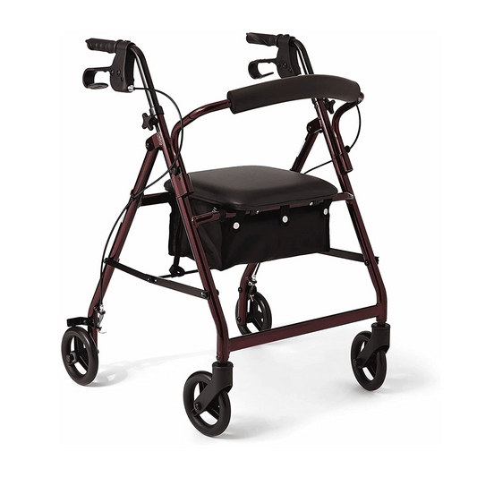 Basic Aluminum Rollator