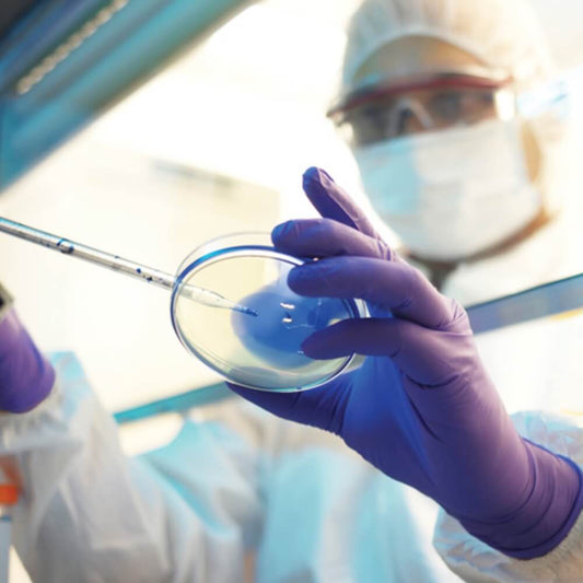 Halyard Nitrile Exam Gloves (Formerly Kimtech)