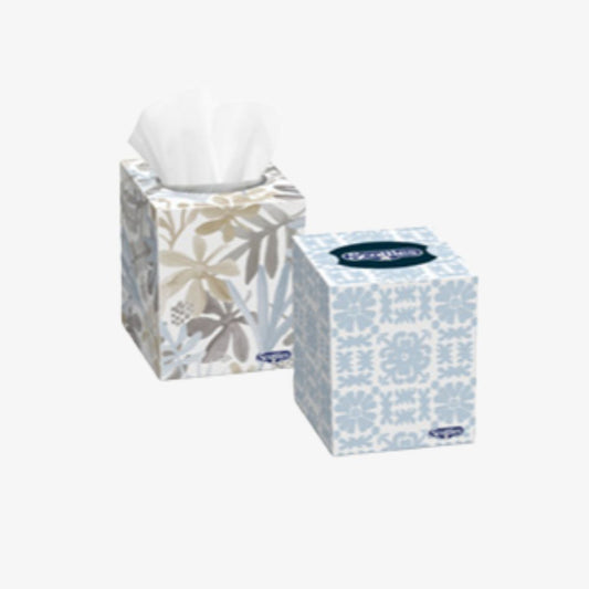Scotties 2-Ply Cube Facial Tissue - Case of 36 boxes