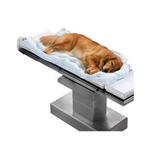 Bair Hugger™ Veterinary Underbody Blanket 60" x 32"- Large - Case of 10