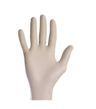 Clear Vinyl Gloves - Case of 12
