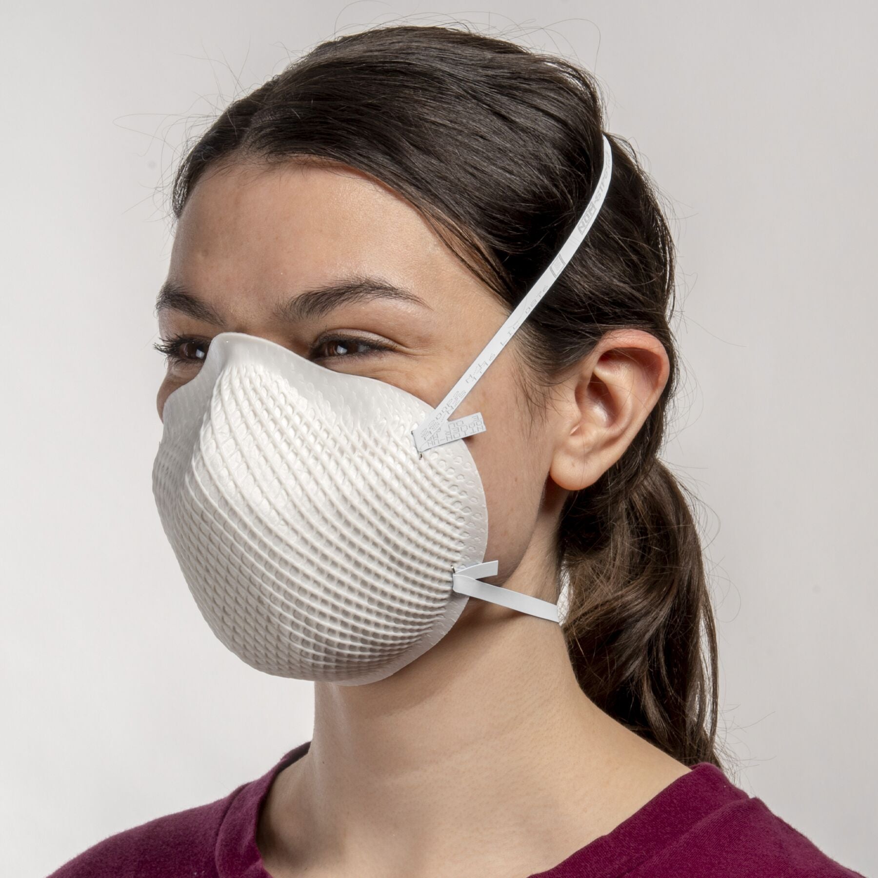 Moldex Disposable Particulate Respirator, NIOSH Approved 
