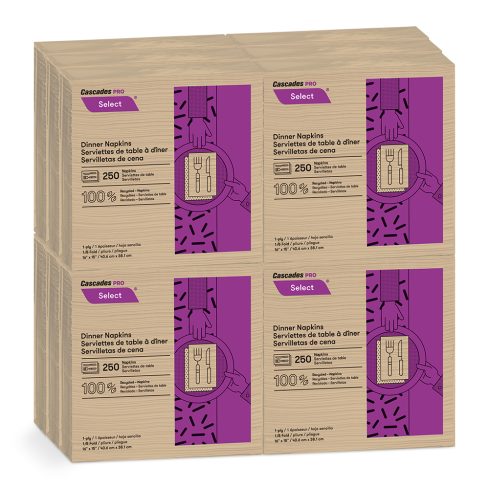 Cascades Napkin, Natural, 12 rolls per case (N055)