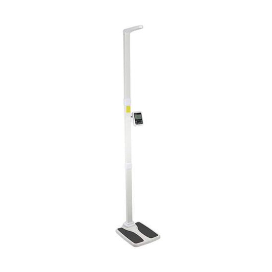 Professional Office Scale