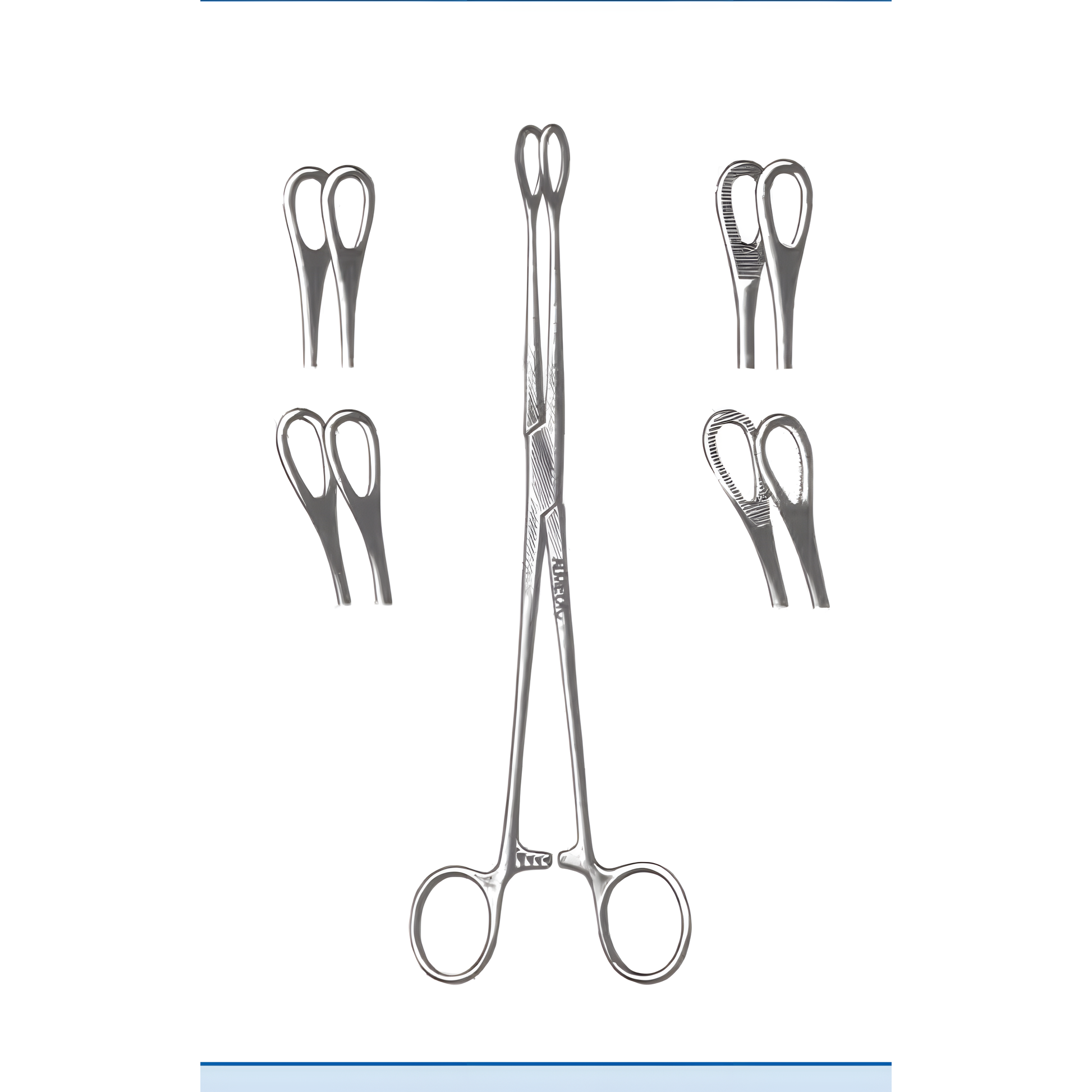gynecological-instruments-30__length-18-cm-7__shape-curved__jaw-serrated__ucalm-a36-374__img-01
