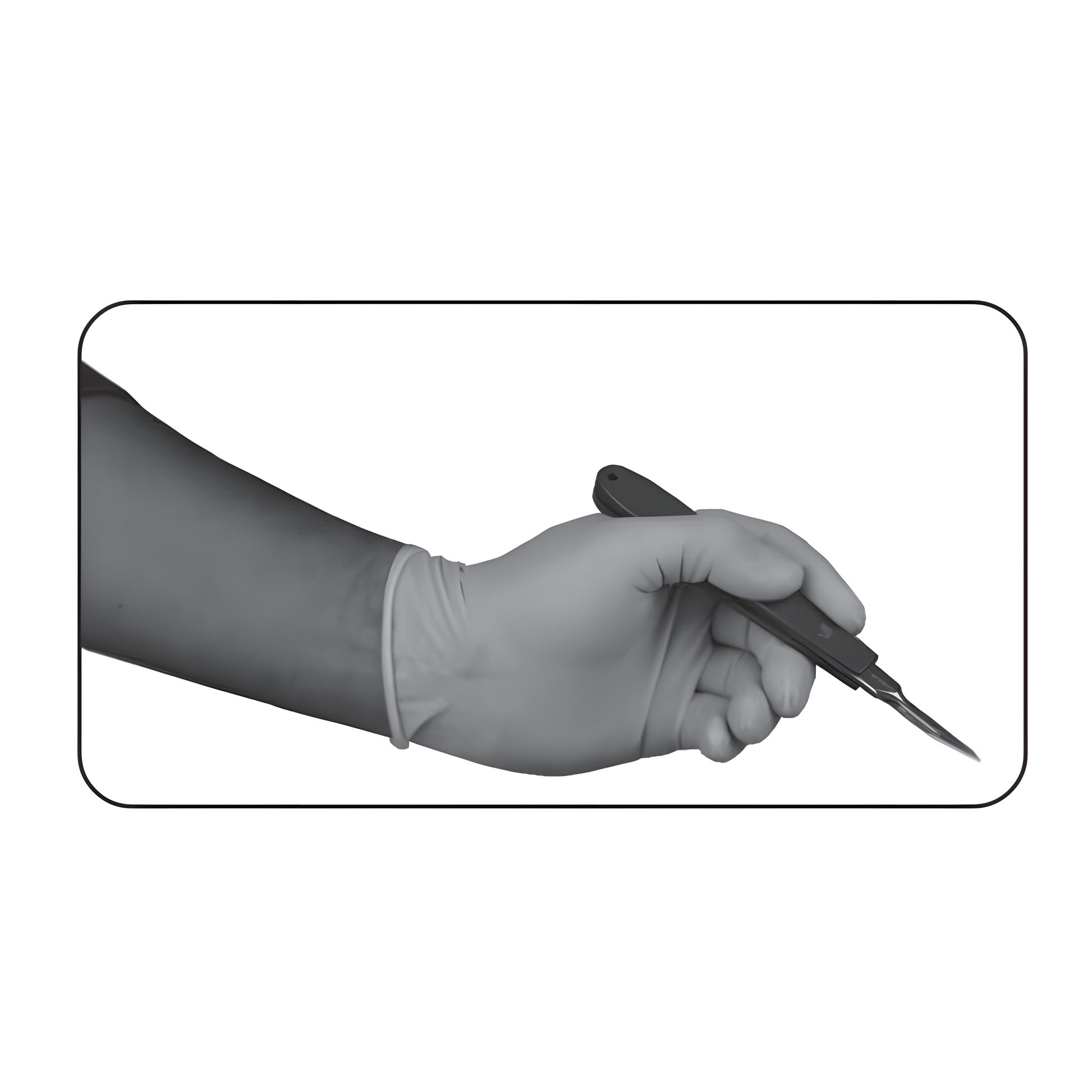 latex-gloves-powder-free-1__size-extra-large__ucalm-40-1240__img-01