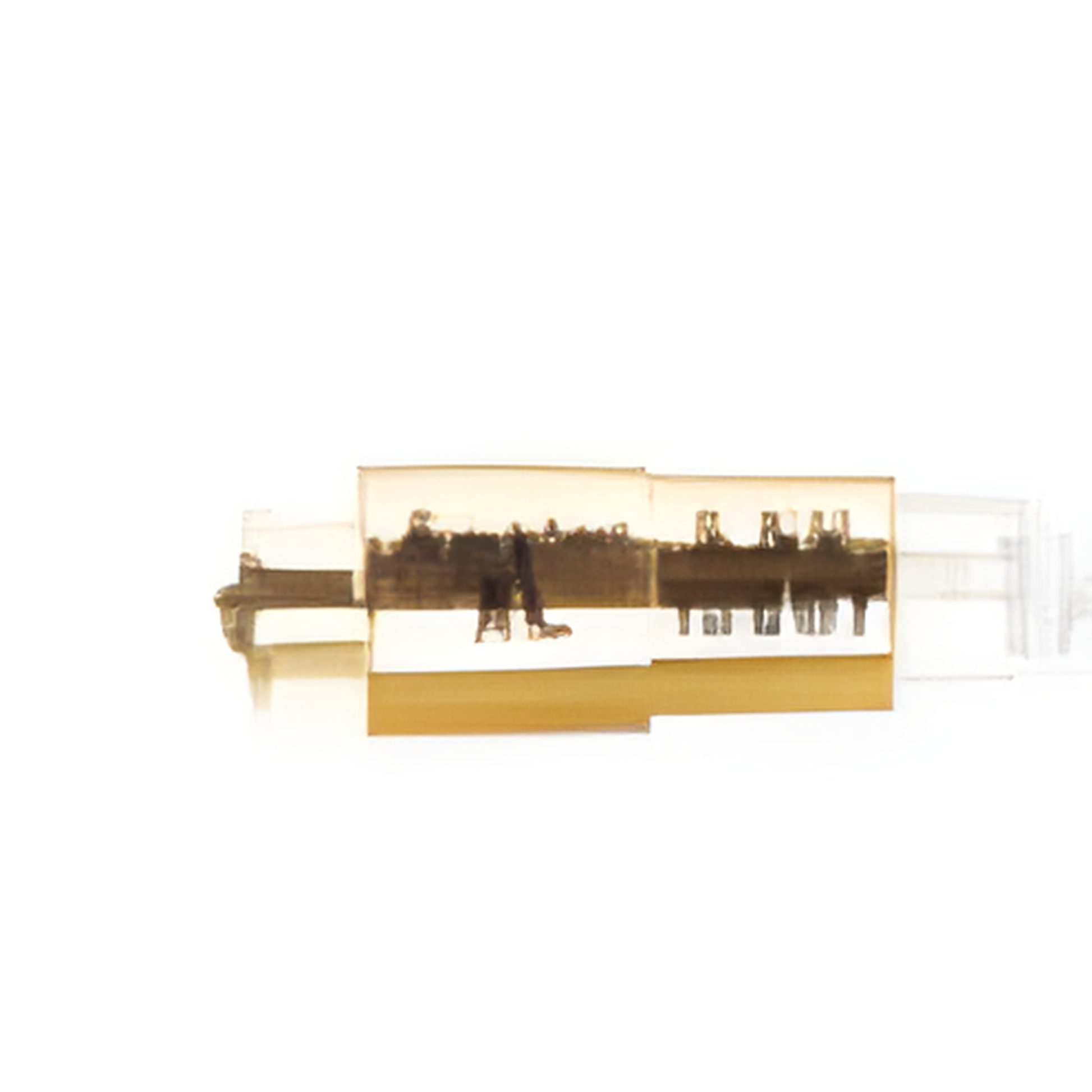riester-instruments-1__voltage-technology-3-5v-xenon__model-number-10607__ucalm-24-1630__img-01