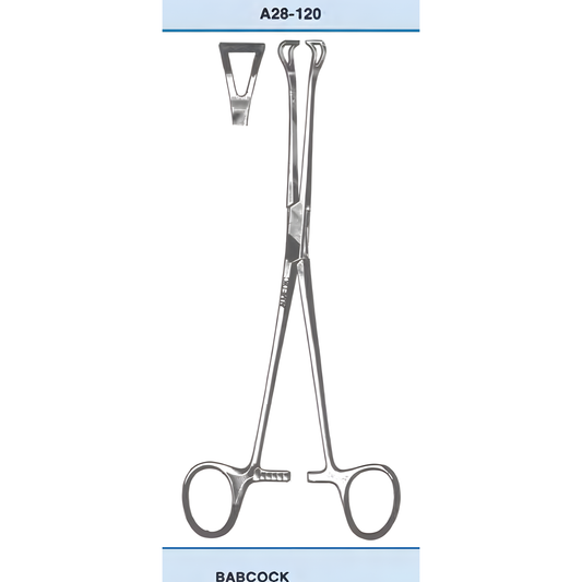 stomach-and-intestinal-instruments-7__size-16cm-6__ucalm-a28-132__img-01